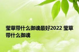 莹草带什么御魂最好2022 莹草带什么御魂