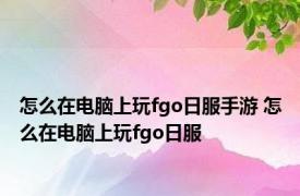 怎么在电脑上玩fgo日服手游 怎么在电脑上玩fgo日服