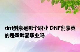 dnf剑豪是哪个职业 DNF剑豪真的是双武器职业吗