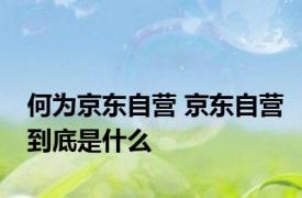 何为京东自营 京东自营到底是什么