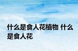 什么是食人花植物 什么是食人花