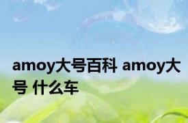 amoy大号百科 amoy大号 什么车