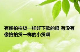 有像拍拍贷一样好下款的吗 有没有像拍拍贷一样的小贷啊