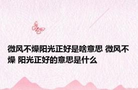 微风不燥阳光正好是啥意思 微风不燥 阳光正好的意思是什么