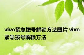 vivo紧急拨号解锁方法图片 vivo紧急拨号解锁方法