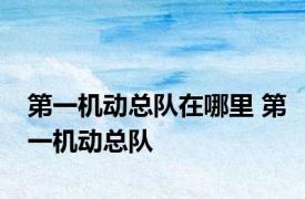 第一机动总队在哪里 第一机动总队 