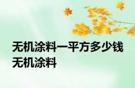 无机涂料一平方多少钱 无机涂料 