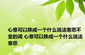 心意可以换成一个什么说法意思不变的词 心意可以换成一个什么说法意思
