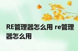 RE管理器怎么用 re管理器怎么用