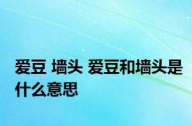 爱豆 墙头 爱豆和墙头是什么意思