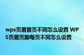 wps页眉首页不同怎么设置 WPS页眉页脚每页不同怎么设置
