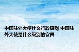 中国驻外大使什么行政级别 中国驻外大使是什么级别的官员