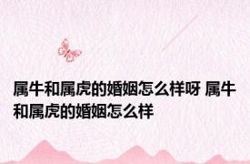 属牛和属虎的婚姻怎么样呀 属牛和属虎的婚姻怎么样 