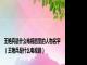 王艳兵是什么电视剧里的人物名字（王艳兵是什么电视剧）