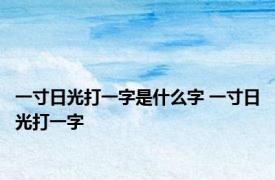 一寸日光打一字是什么字 一寸日光打一字 