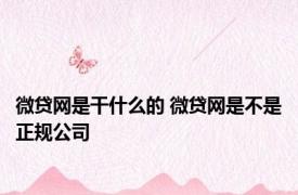 微贷网是干什么的 微贷网是不是正规公司