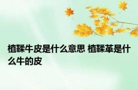 植鞣牛皮是什么意思 植鞣革是什么牛的皮
