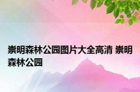 崇明森林公园图片大全高清 崇明森林公园 