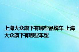 上海大众旗下有哪些品牌车 上海大众旗下有哪些车型 
