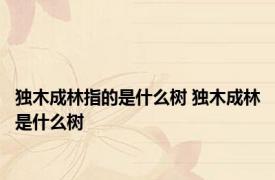 独木成林指的是什么树 独木成林是什么树
