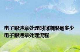 电子眼违章处理时间期限是多少 电子眼违章处理流程
