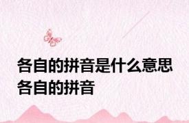 各自的拼音是什么意思 各自的拼音 