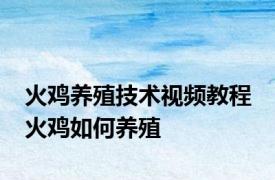 火鸡养殖技术视频教程 火鸡如何养殖