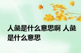 人彘是什么意思啊 人彘是什么意思