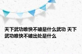 天下武功唯快不破是什么武功 天下武功唯快不破出处是什么