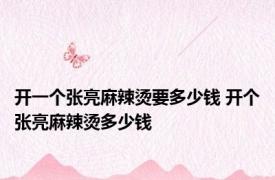 开一个张亮麻辣烫要多少钱 开个张亮麻辣烫多少钱 