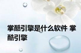 掌酷引擎是什么软件 掌酷引擎 