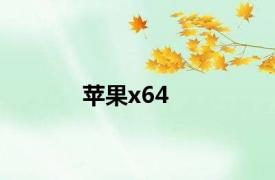 苹果x64