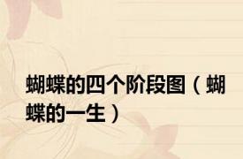 蝴蝶的四个阶段图（蝴蝶的一生）
