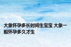 大象怀孕多长时间生宝宝 大象一般怀孕多久才生 