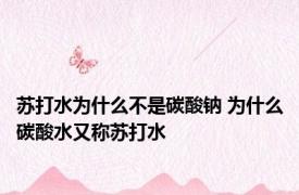 苏打水为什么不是碳酸钠 为什么碳酸水又称苏打水