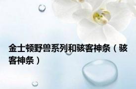 金士顿野兽系列和骇客神条（骇客神条）