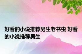 好看的小说推荐男生老书虫 好看的小说推荐男生 