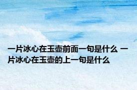一片冰心在玉壶前面一句是什么 一片冰心在玉壶的上一句是什么 