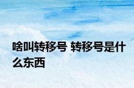 啥叫转移号 转移号是什么东西
