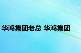 华鸿集团老总 华鸿集团 