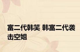 富二代韩笑 韩富二代袭击空姐 
