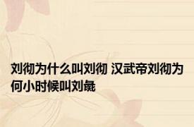 刘彻为什么叫刘彻 汉武帝刘彻为何小时候叫刘彘