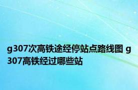 g307次高铁途经停站点路线图 g307高铁经过哪些站