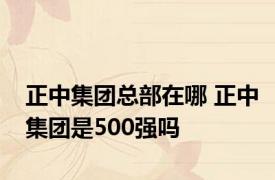 正中集团总部在哪 正中集团是500强吗