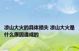 凉山大火的具体损失 凉山大火是什么原因造成的