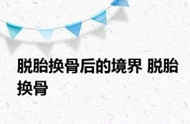 脱胎换骨后的境界 脱胎换骨 