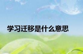 学习迁移是什么意思
