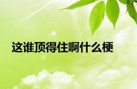 这谁顶得住啊什么梗
