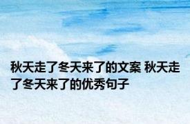 秋天走了冬天来了的文案 秋天走了冬天来了的优秀句子