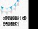 火影忍者动画片（火影忍者剧场版12）
